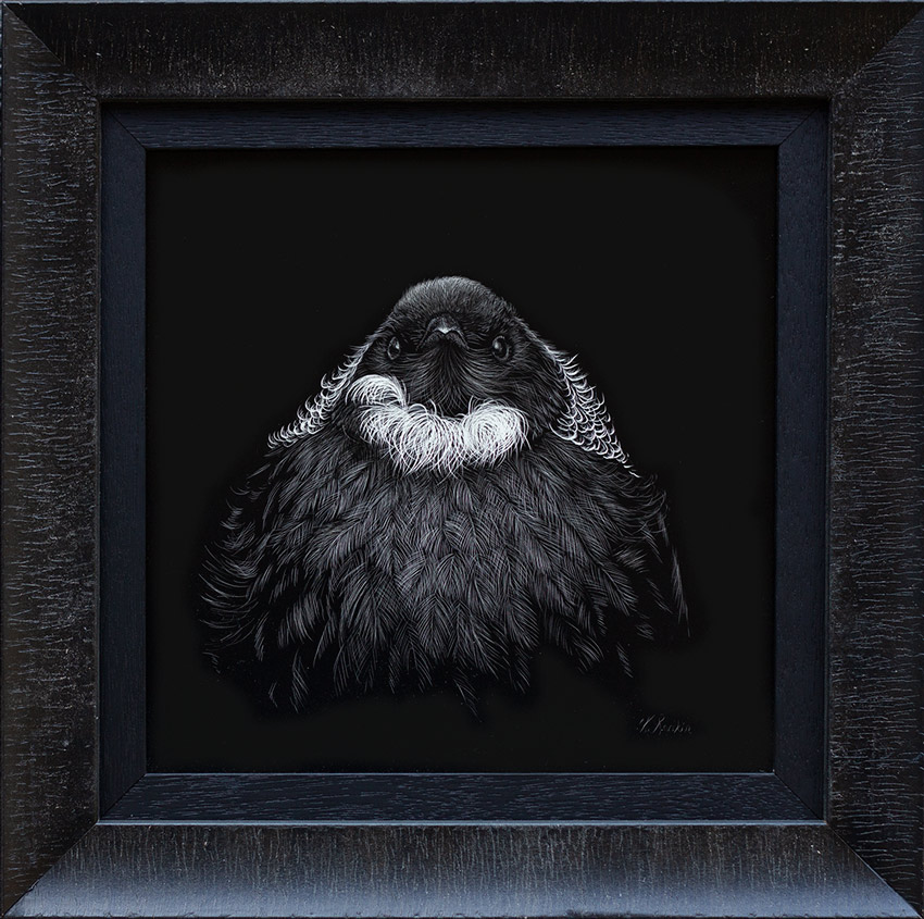 Tui artwork framed