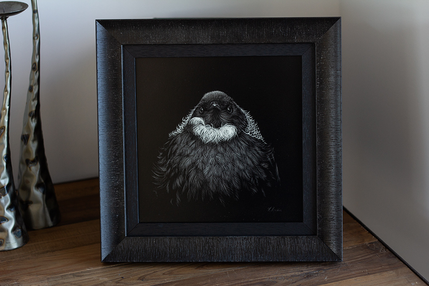 Tui artwork framed