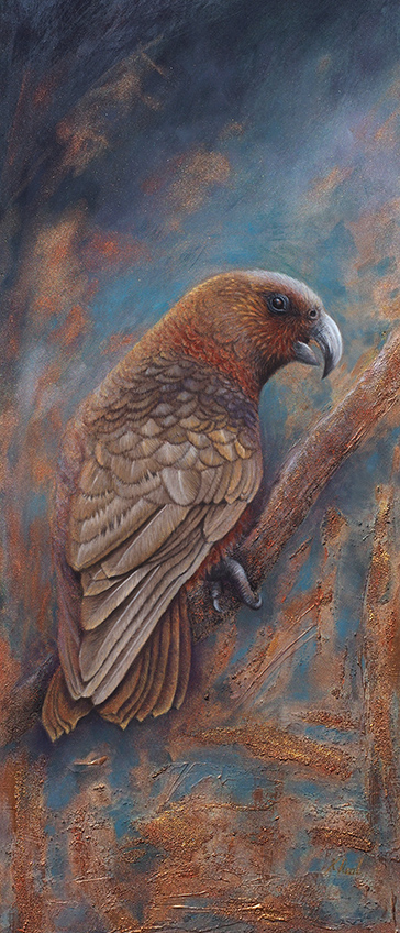 Kaka native forest parrot bird artwork