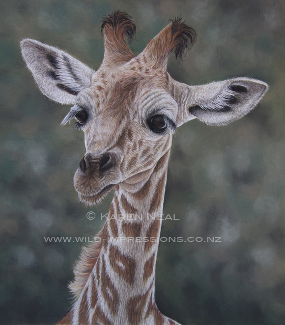 Baby giraffe painting by New Zealand artist Karen Neal