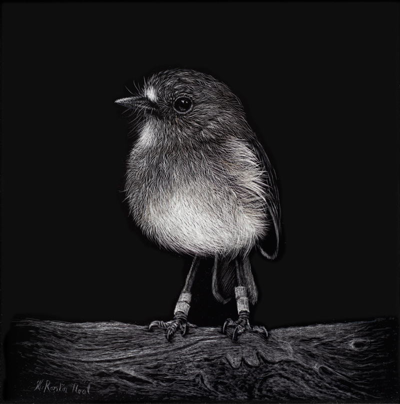 New Zealand robin artwork 
