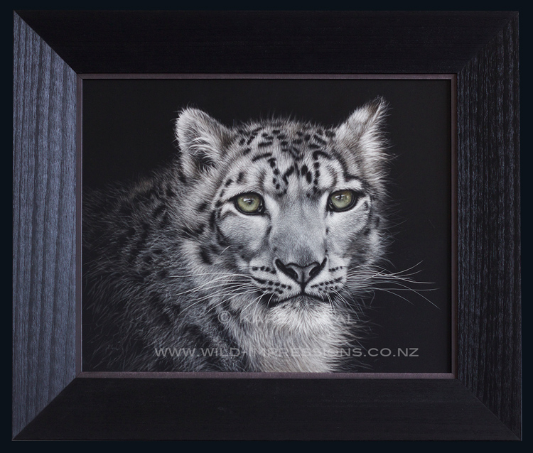 snow leopard scratchboard art framed