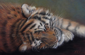 Tiger painting by Karen Neal was judged into the BBC Wildlife Artist of the Year finals