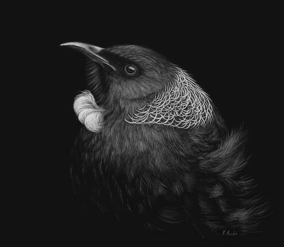 Tui bird print New Zealand