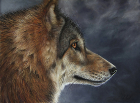 "Lone Wolf" pastel painting